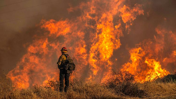 Die Feuerwehrleute in der Region sind ununterbrochen im Einsatz.