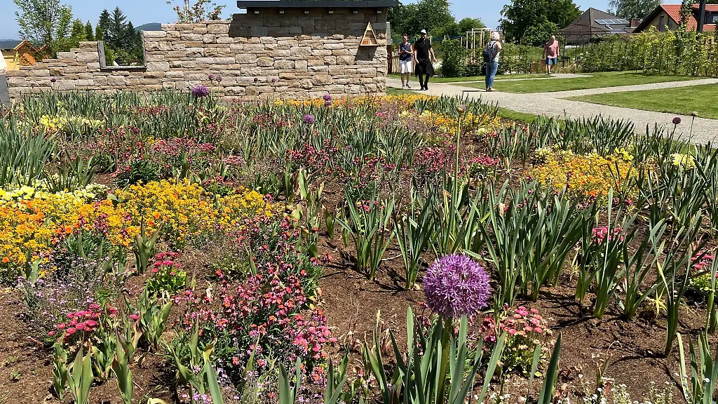Auf-der-Landesgartenschau-in-Fulda-bluehen-Tausende-von-Sommerblumen