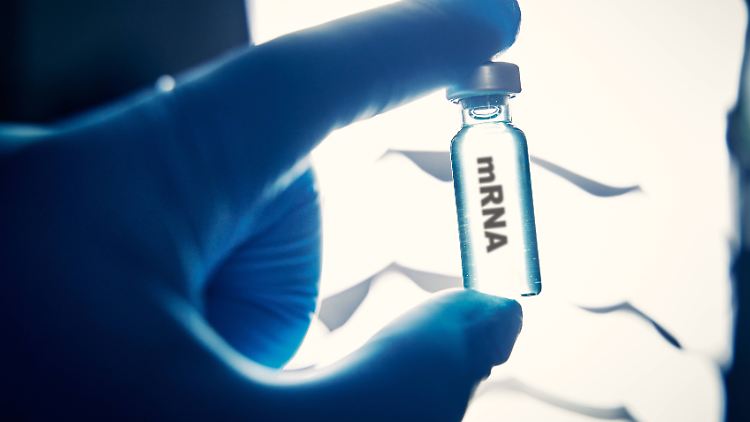 Mit mRNA-Präparaten wurden in Studien "kleine Wunder" bei Menschen mit Bauchspeicheldrüsenkrebs erreicht.