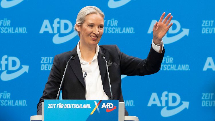 Alice Weidel zeigt sich offen für Gespräche mit der Unionsfraktion von Friedrich Merz. 