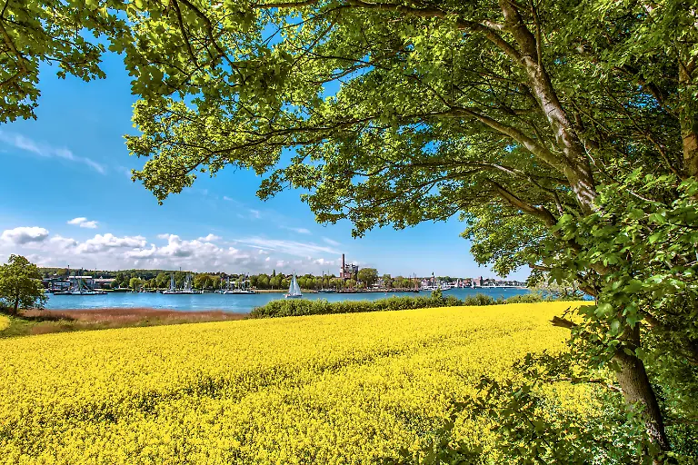 S-52-53-Schlei-Huber-20546596