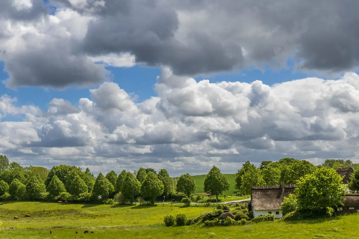 2a-Brodersby-msu-8646