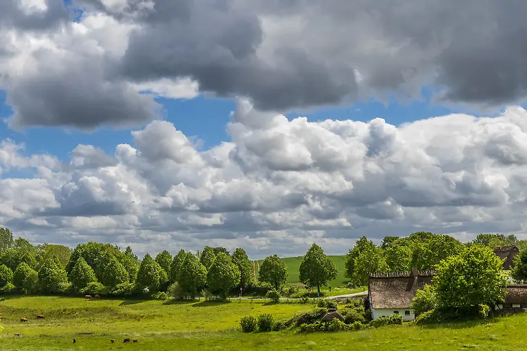 2a-Brodersby-msu-8646