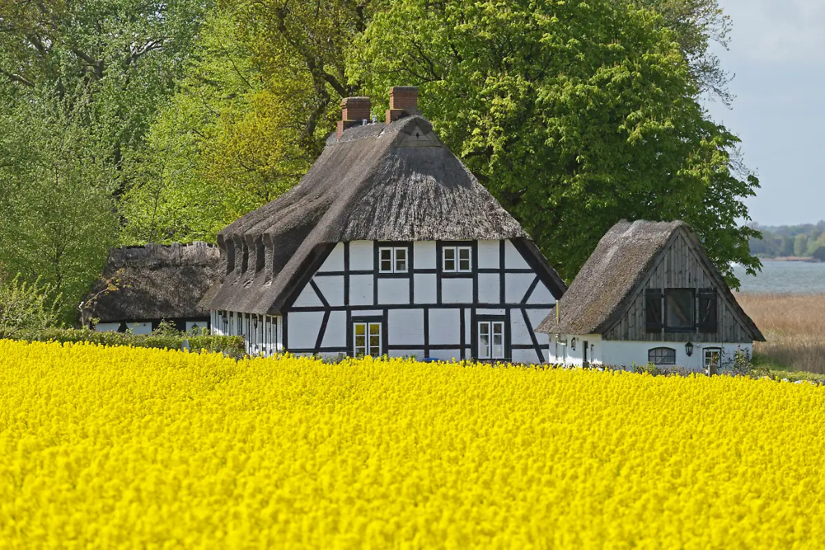 4-Vorspann-Schlei-mauritius-images-IB4564793