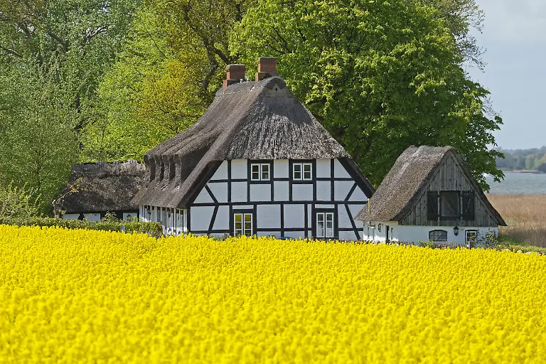 4-Vorspann-Schlei-mauritius-images-IB4564793