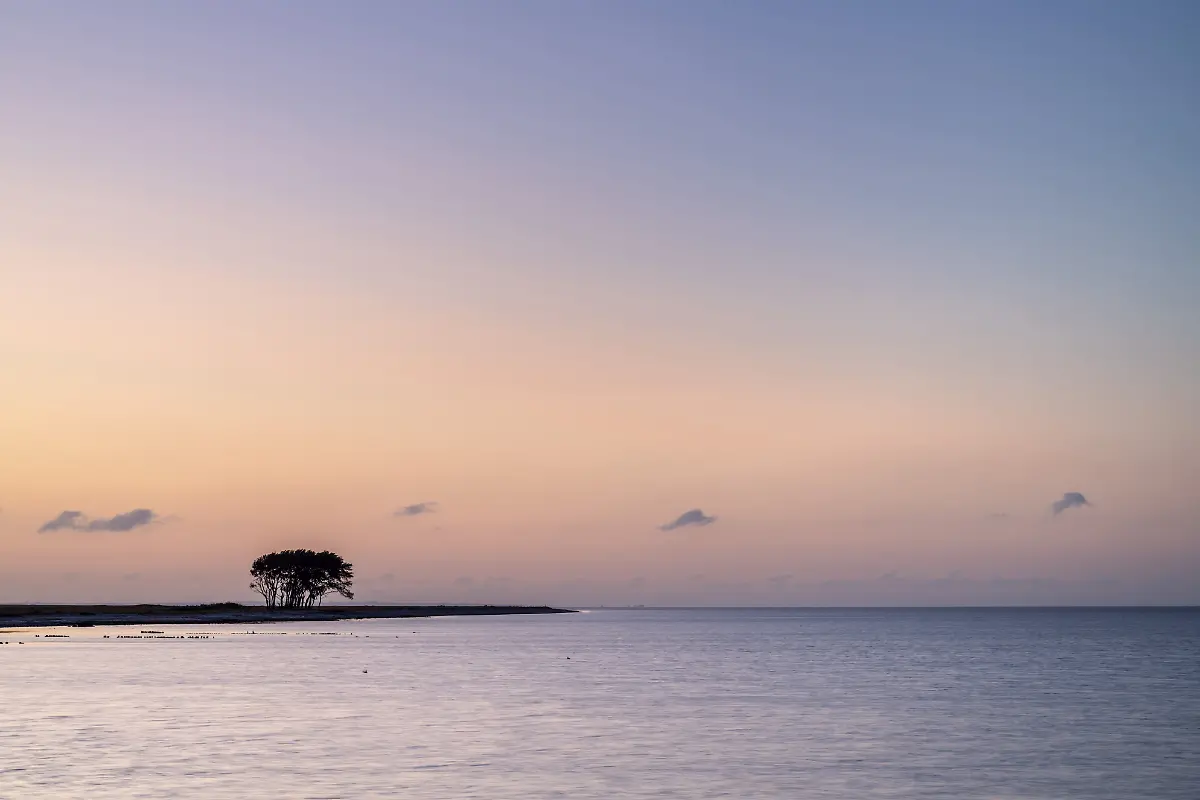 2-Vorspann-Schlei-41045592