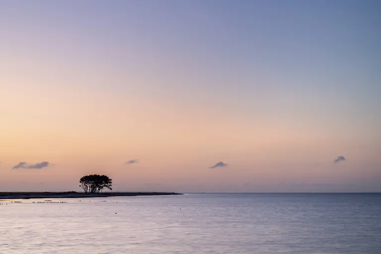 2-Vorspann-Schlei-41045592