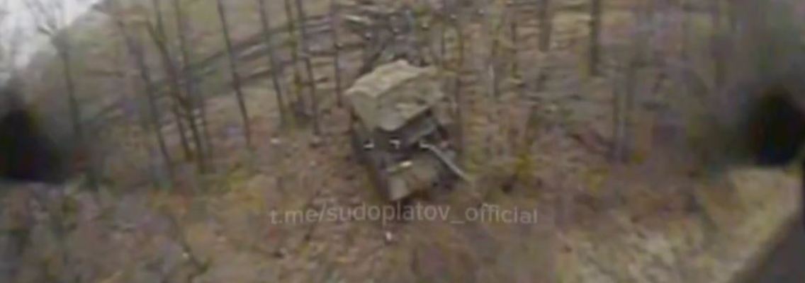 leopard drohne.JPG