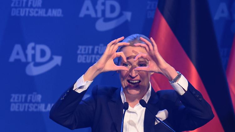 AfD-Chefin Alice Weidel beim Wahlkampfauftakt in Halle