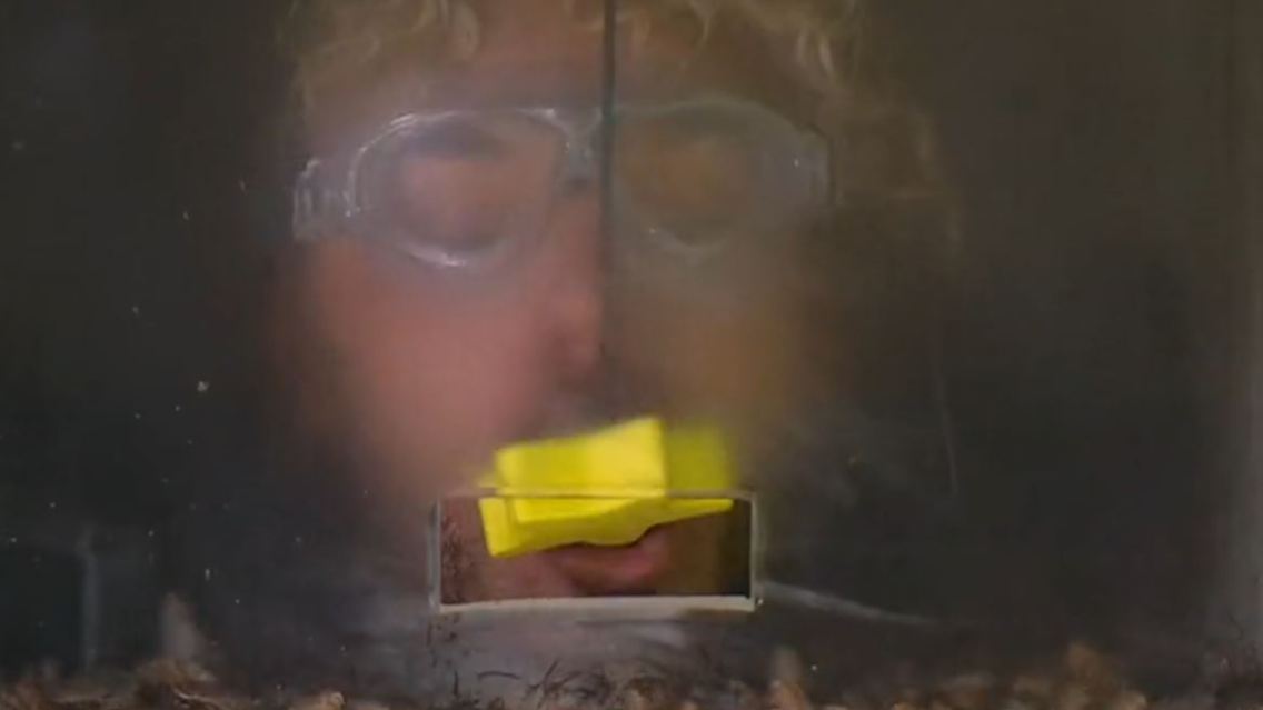 sam.JPG