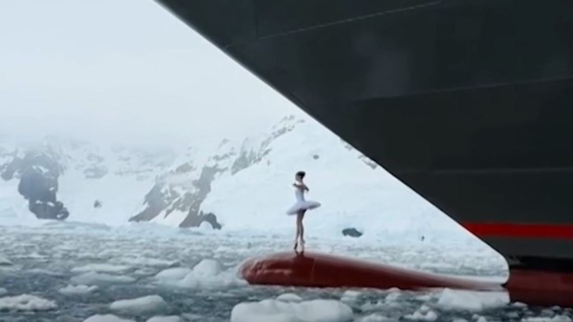 Ballerina Antarktis.jpg