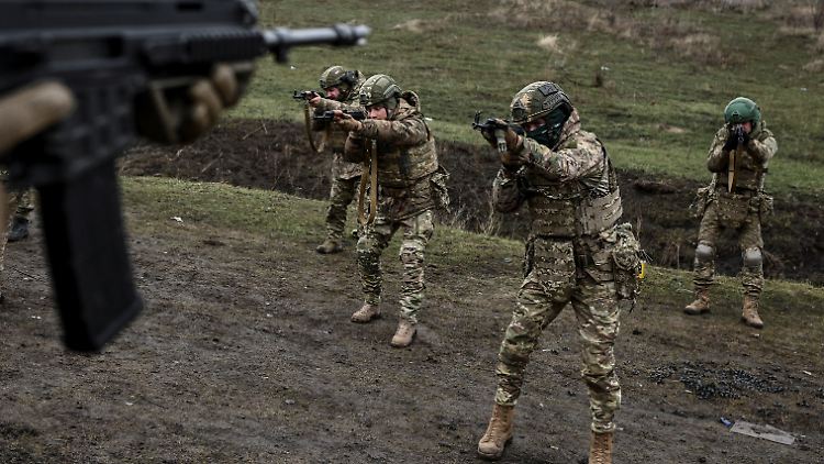 Ukrainische Soldaten während einer Übung bei Pokrowsk. 