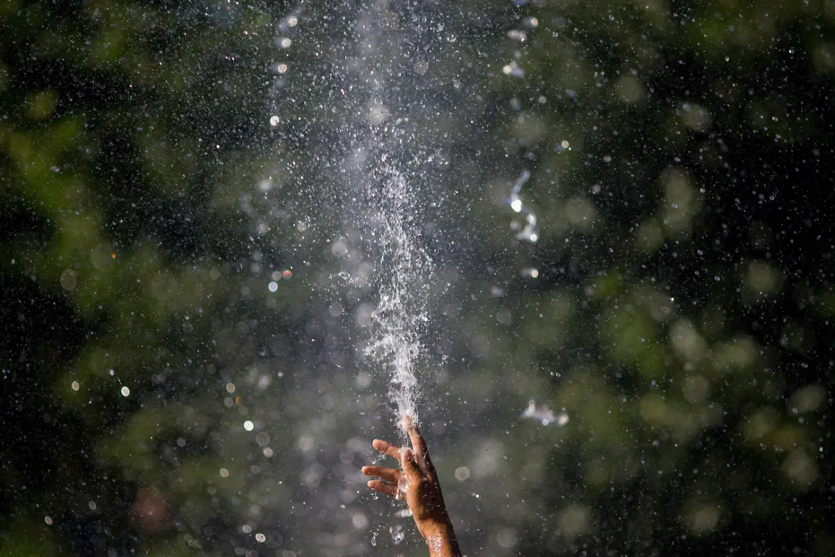 bafa0462119febe9c4d8a6ff03b90b3e