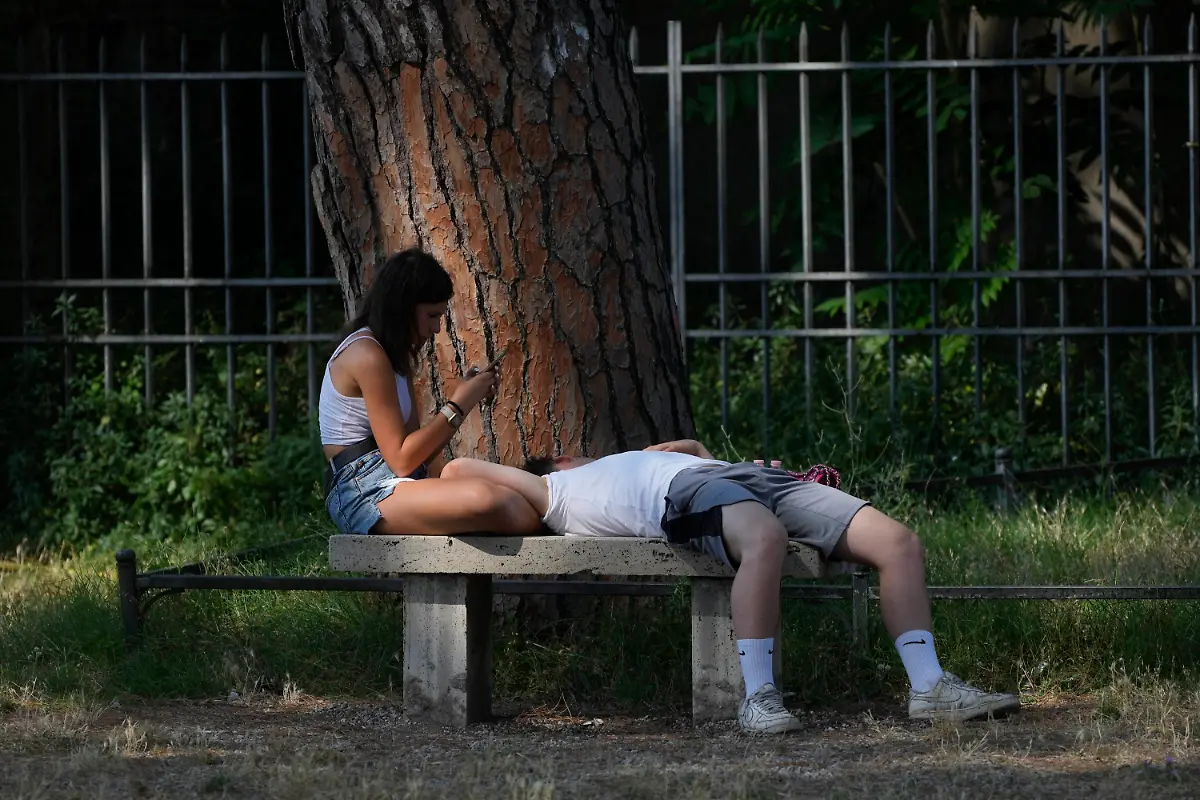 9875f201f7de1acc11a9c5d478956314