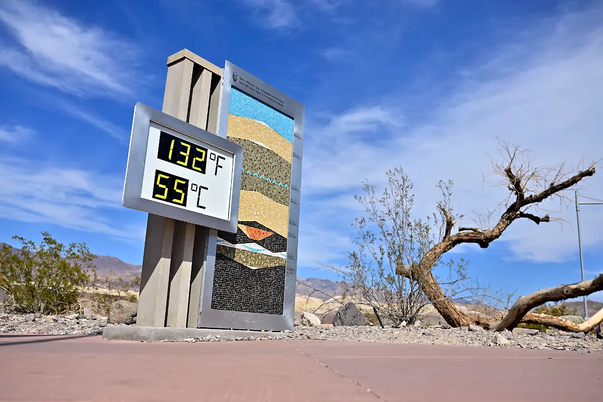 3d2a305c8e84c15396d47ce7a558e533