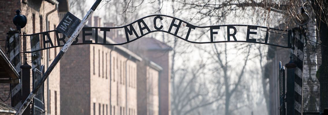 epi_200783514_DPA BF_dpa 5FA072001D25CCCA.jpg_Auschwitz vor dem 75.jpg