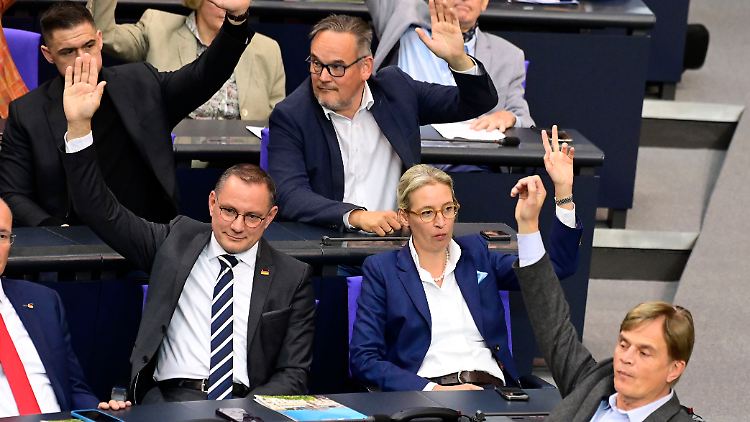 Die AfD stimmt dem Vorschlag von Merz "natürlich" zu, sagt Baumann.