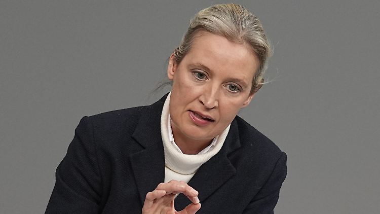 Alice Weidel rechnet in ihrer Rede vor allem mit Friedrich Merz und der CDU ab.