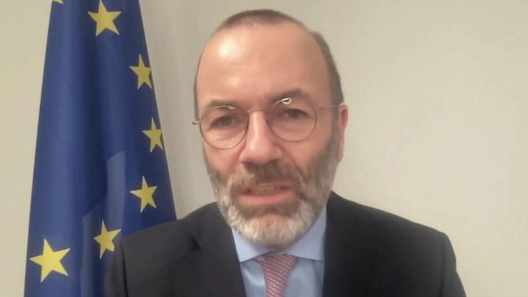 Manfred Weber.jpg