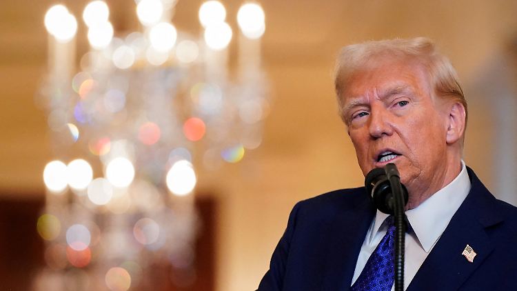 Es sei das "größte Abschiebeprogramm in der amerikanischen Geschichte", sagt US-Präsident Trump. 