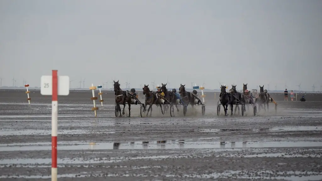 Teilnehmer-und-Teilnehmerinnen-des-Trabrennens-sind-in-Aktion-vor-dem-Strand-von-Duhnen