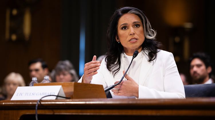 Tulsi Gabbard hat keine Erfahrung im Geheimdienstapparat.