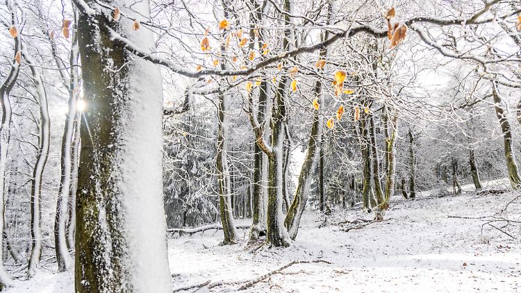 In Richtung Wochenende könnte es mitunter zu Neuschnee kommen.