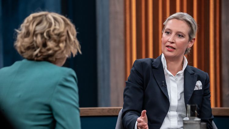 Viele Unternehmer lehnen die AfD wegen ihrer wirtschaftspolitischen Vorschläge ab.