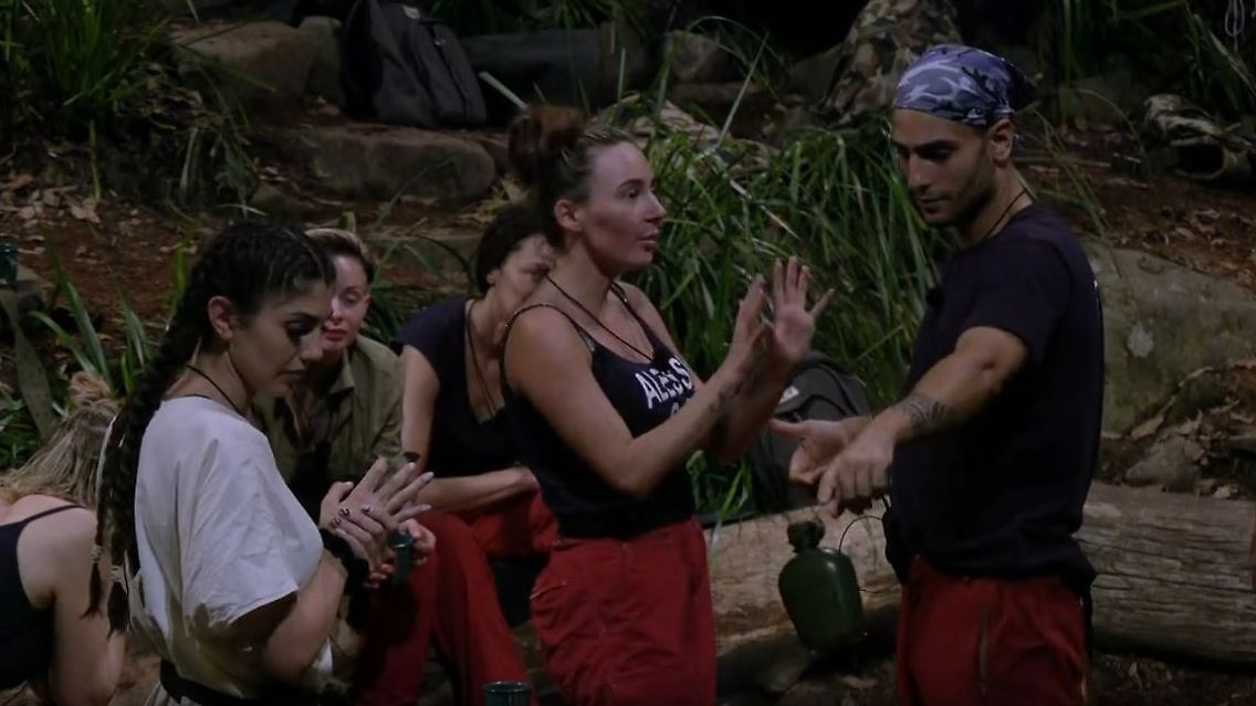 ibes+.JPG