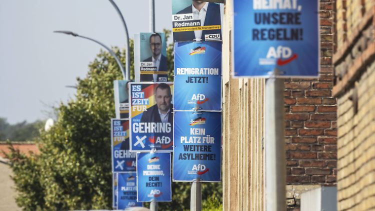 Plakatsegen für die AfD: Tausendfach kann sie ihre Motive zur Bundestagswahl aufhängen, wenn sie die Spende annimmt.