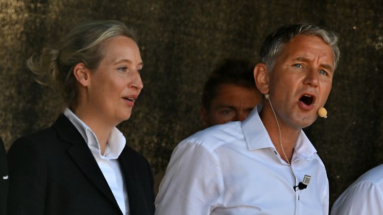 Im Kern gleichermaßen extremistisch: Alice Weidel und der völkisch-nationalistische Thüringer AfD-Politiker Björn Höcke.
