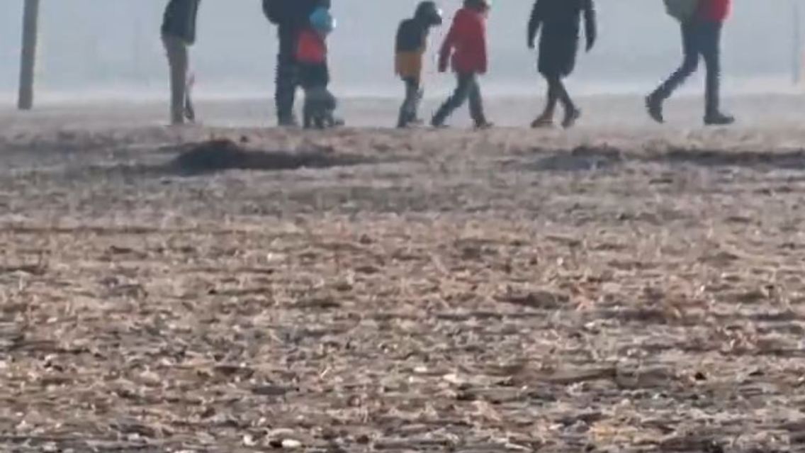 muscheln.JPG