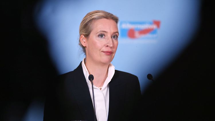 AfD-Chefin Alice Weidel wird am 11. und 12. Februar in Budapest zu Gast sein. 