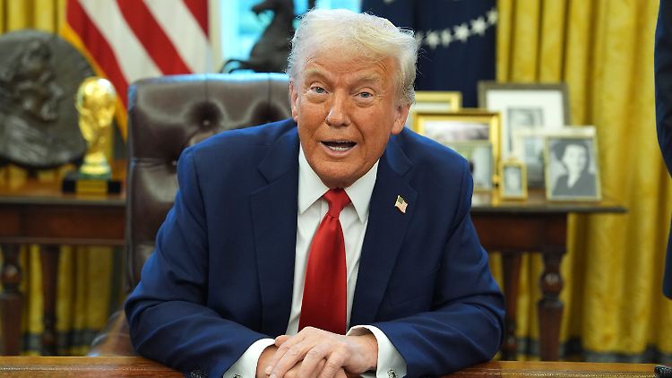 Trump ist an den Seltenen Erden der Ukraine interessiert. 