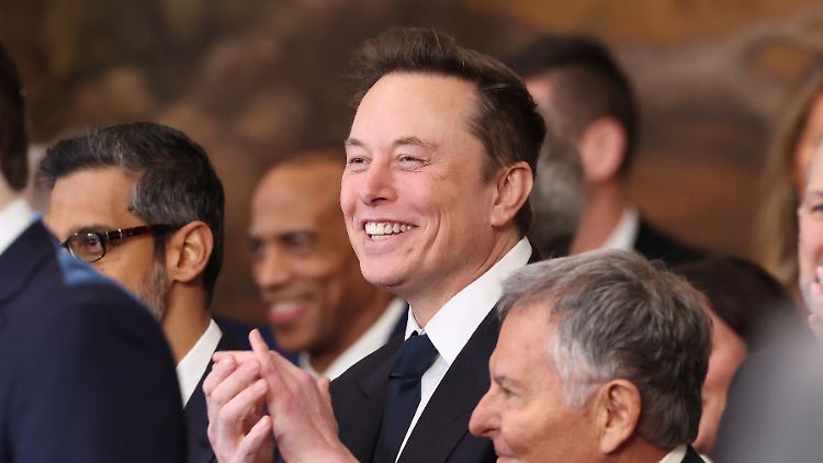 Tesla-Chef Musk hat eine tragende Rolle im neu gegründeten "Department of Government Efficiency".