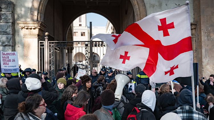 Demonstranten Anfang Februar vor dem georgischen Parlament in Tiflis.