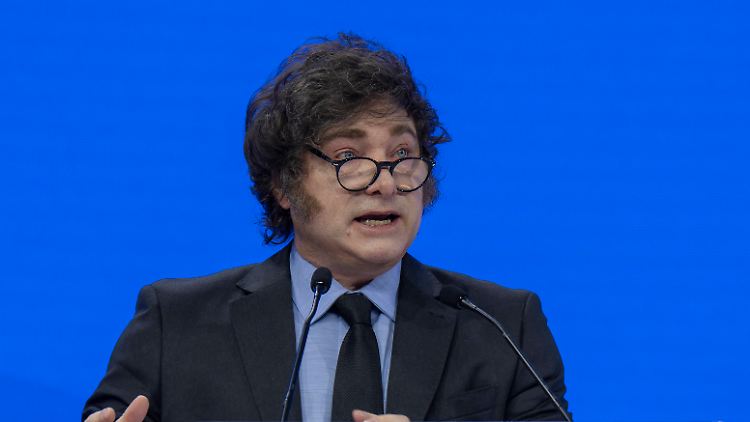 Die Politik des rechtsgerichteten argentinischen Präsidenten Javier Milei ist stark umstritten.