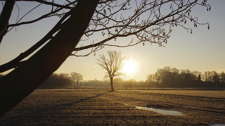 Es ist zwar Winter, aber der Schnee fehlt. Das liegt auch daran, dass der Januar deutlich zu warm war.