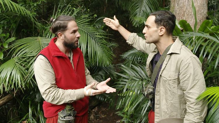 Maurice Dziwak (l.) und Timur Ülker zoffen sich im Dschungelcamp.