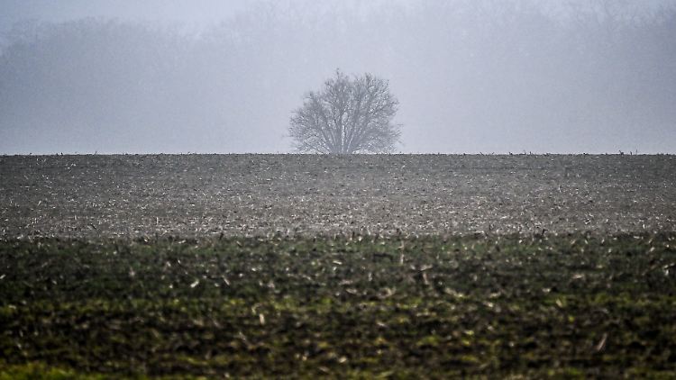 Gefühlter Frost und kaum Sonne - die nächsten Tage werden eher durchwachsen.
