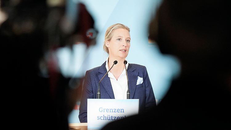 Raus aus dem Euro? Weidel wiegelt ab.