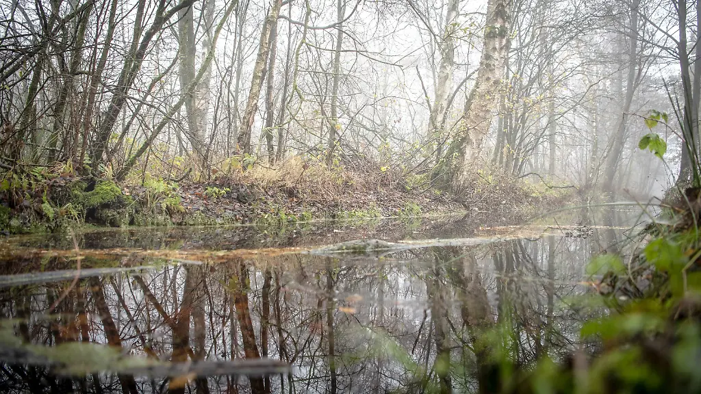 a55a5ffb285828ca9ac1e4c535937111