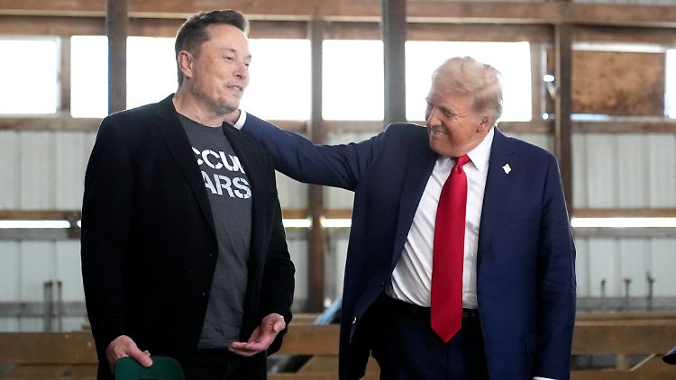 Als Leiter des Effizienzgremiums soll Elon Musk Verschwendung und Betrug in US-Behörden aufdecken.