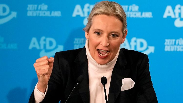 Die AfD will die Renten auf 70 Prozent des Nettolohnniveaus steigern. Das sei völlig unrealistisch, sagt Ifo-Vize Ragnitz.