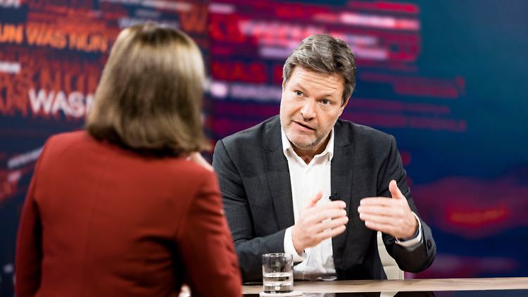 Robert Habeck in der ZDF-Sendung "Was nun, ..." (Archivbild)