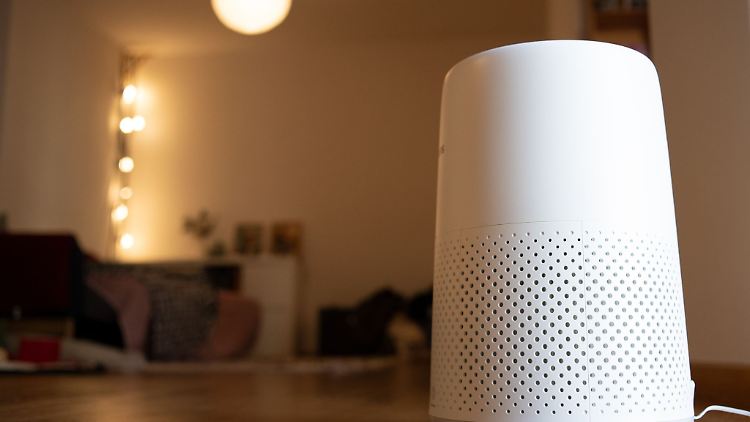 Luftreiniger können die Pollenbelastung in der Wohnung verringern. Die Filter sollten alle sechs bis zwölf Wochen gewechselt werden.