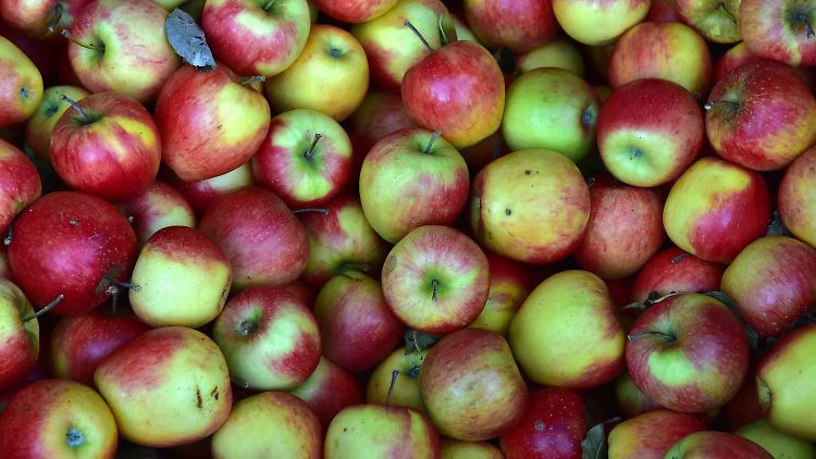 Die Erzeugerpreise für Äpfel stiegen zuletzt um ein Fünftel.