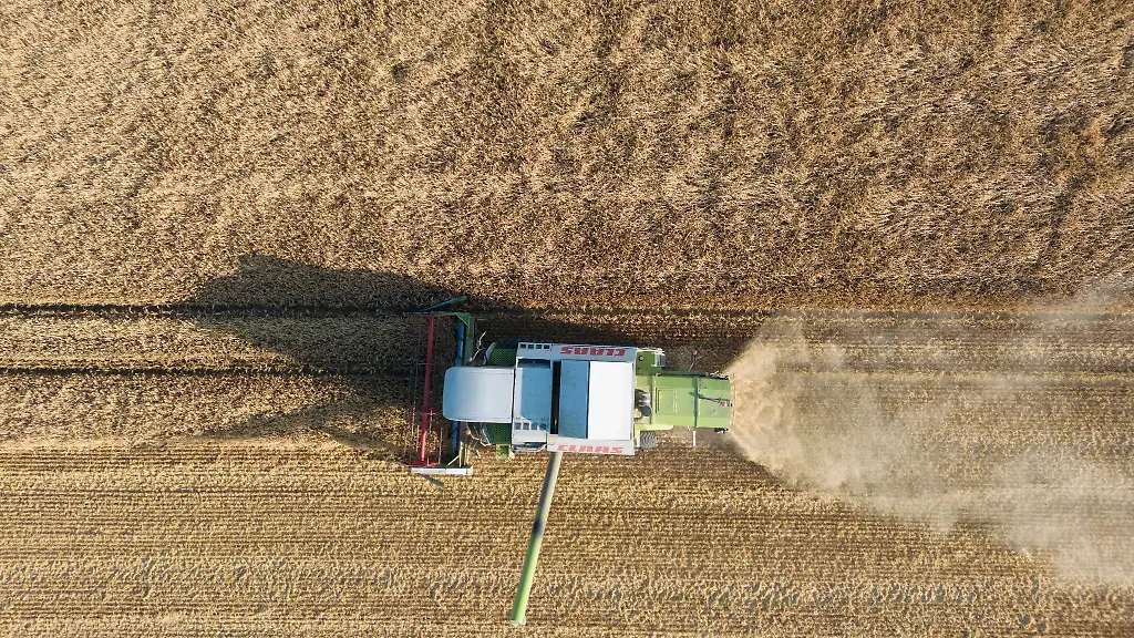 Ein-Landwirt-maeht-mit-einem-Maehdrescher-ein-Getreidefeld