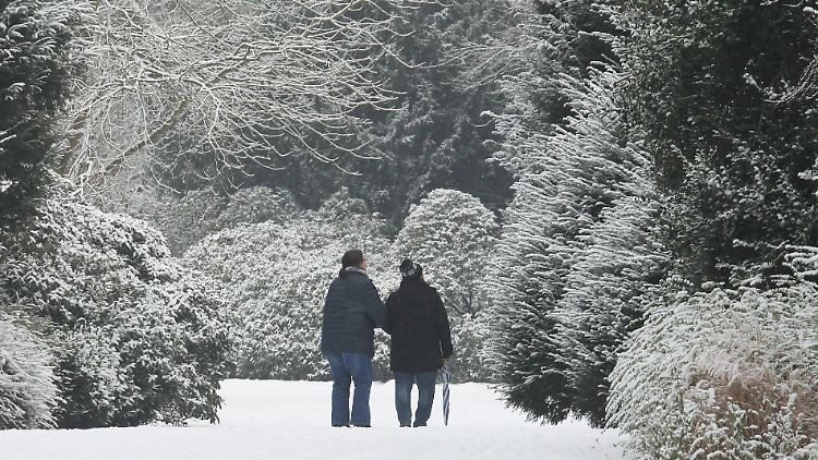 Schnee - auch in Hamburg.