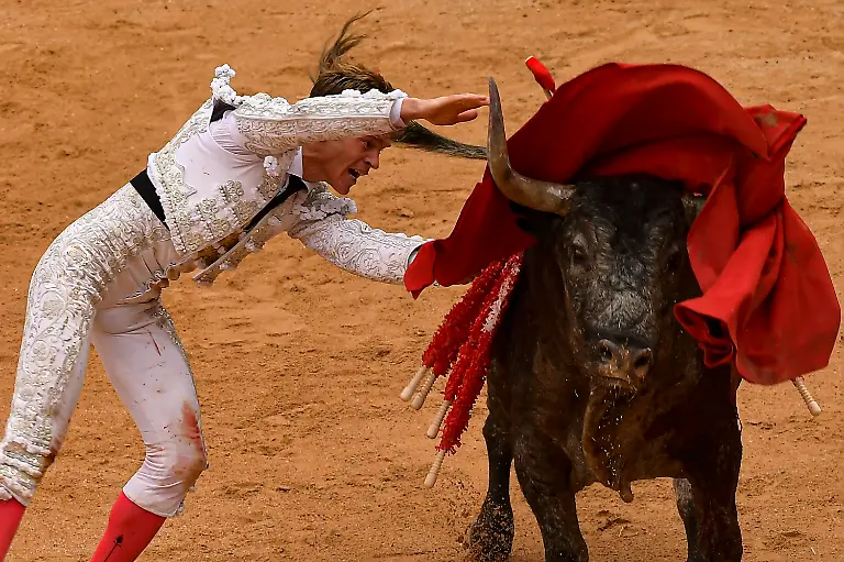 8e388620f2ad3d814335879a04642732